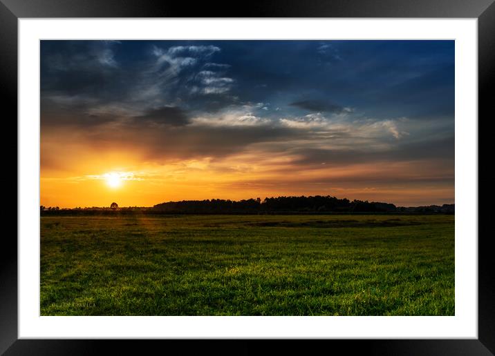 Sunset in the field. Framed Mounted Print by Dejan Travica