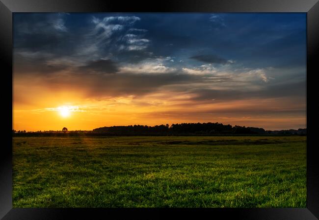 Sunset in the field. Framed Print by Dejan Travica