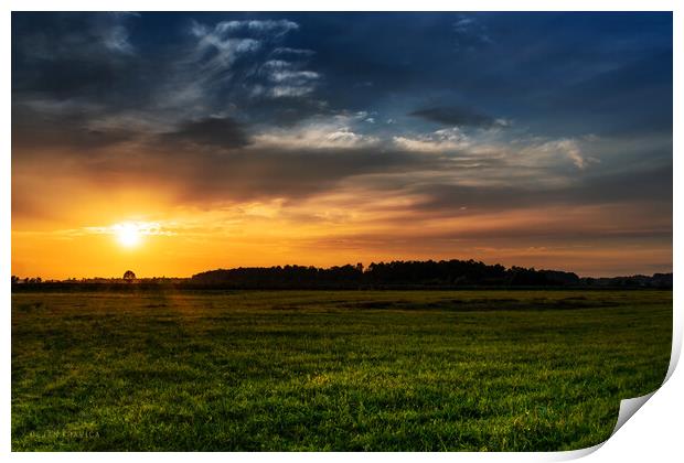 Sunset in the field. Print by Dejan Travica