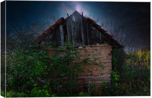 An old abandoned hut Canvas Print by Dejan Travica
