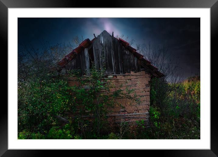 An old abandoned hut Framed Mounted Print by Dejan Travica