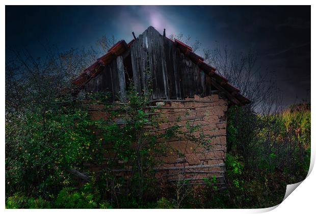 An old abandoned hut Print by Dejan Travica