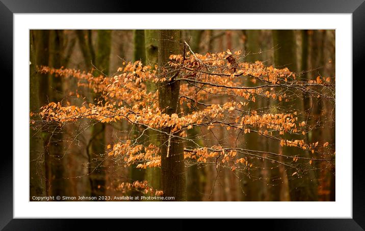 A close up of a tree Framed Mounted Print by Simon Johnson