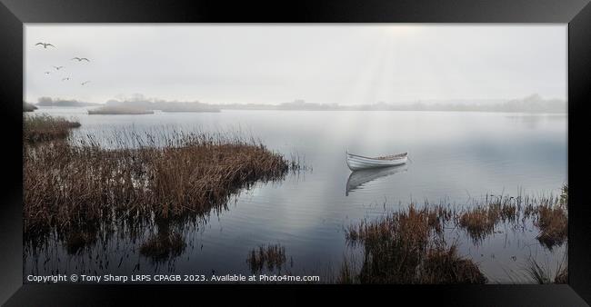 ON A MISTY MORNING - RYE HARBOUR NATURE RESERVE Framed Print by Tony Sharp LRPS CPAGB