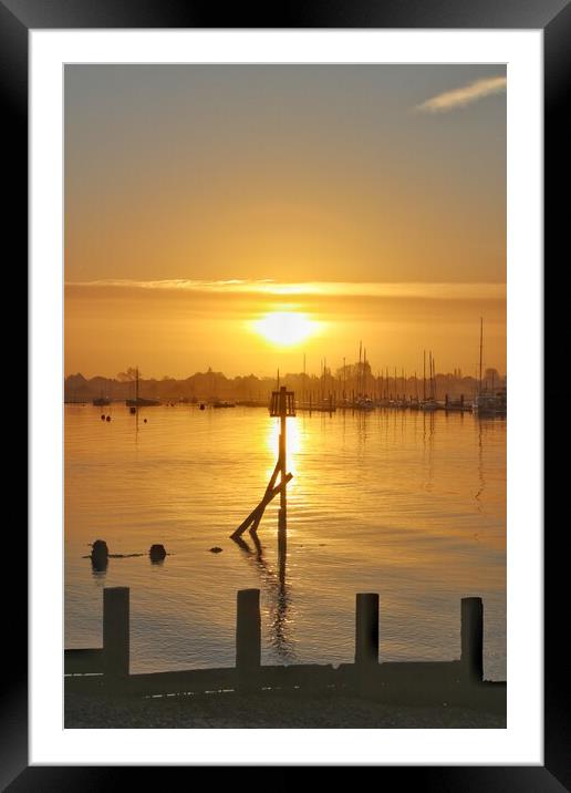 Sunrise over Brightlingsea Harbour  Framed Mounted Print by Tony lopez