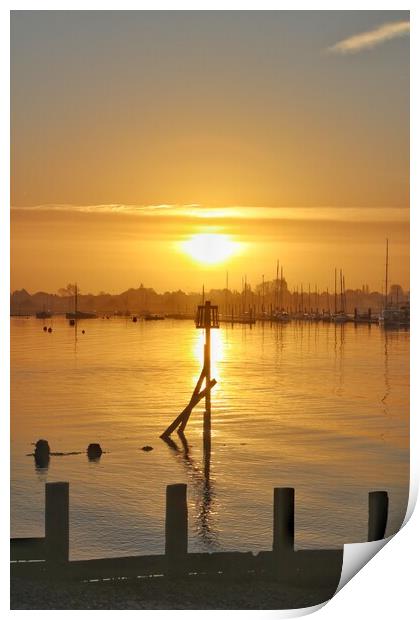 Sunrise over Brightlingsea Harbour  Print by Tony lopez