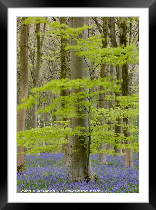 Bluebell woodland Framed Mounted Print by Simon Johnson