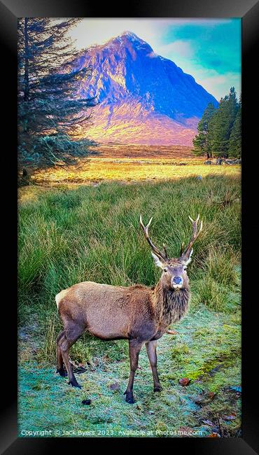 Red deer stag in Glencoe Framed Print by Jack Byers
