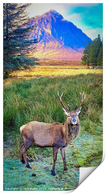 Red deer stag in Glencoe Print by Jack Byers
