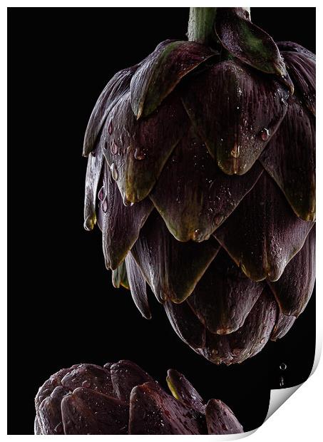 Fresh raw artichokes on black background.  Print by Olga Peddi