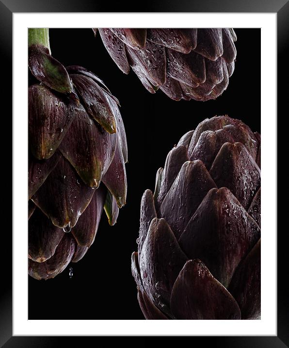 Fresh raw artichokes on black background.  Framed Mounted Print by Olga Peddi