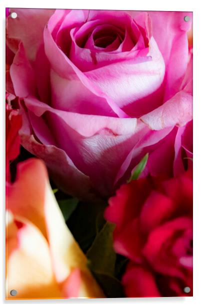 Roses Acrylic by Glen Allen