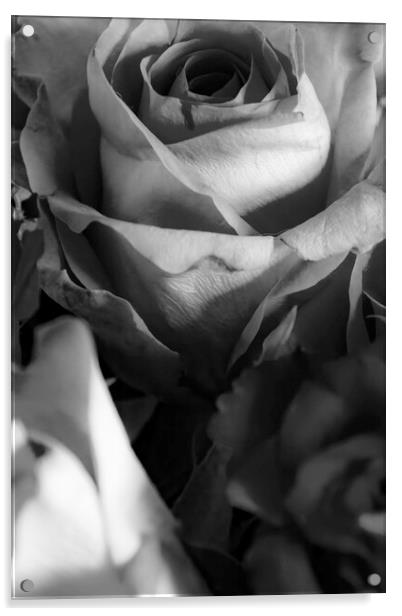 Roses Mono Acrylic by Glen Allen