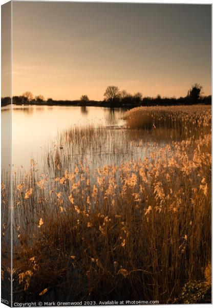 Golden Sunset Canvas Print by Mark Greenwood