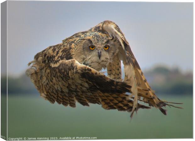 Eurasian Eagle Owl mid-flight Canvas Print by James Kenning
