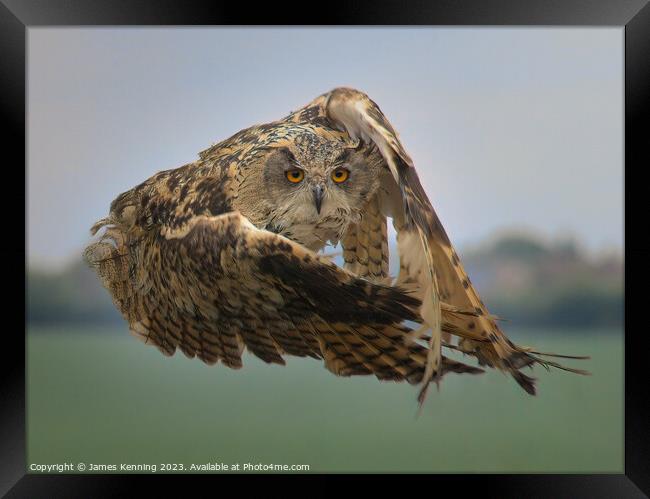 Eurasian Eagle Owl mid-flight Framed Print by James Kenning