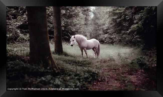 Mystical Unicorn Framed Print by Tom McPherson