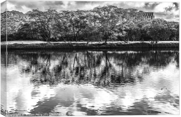 Black White Trees Ala Wai Canal Reflection Honolulu Hawaii Canvas Print by William Perry