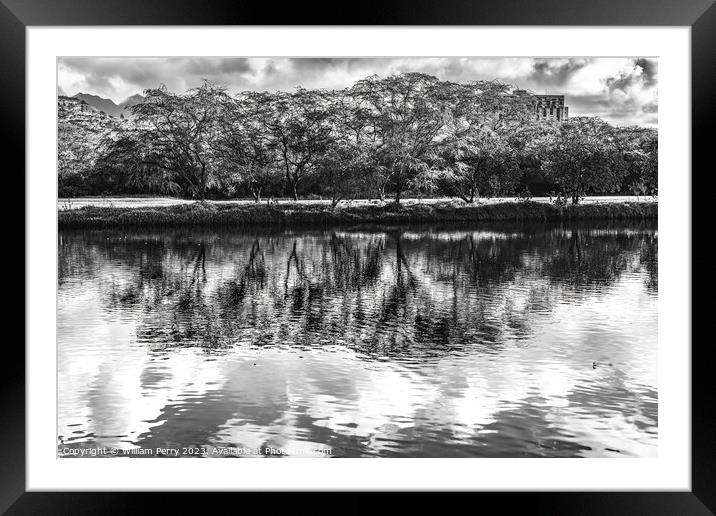 Black White Trees Ala Wai Canal Reflection Honolulu Hawaii Framed Mounted Print by William Perry