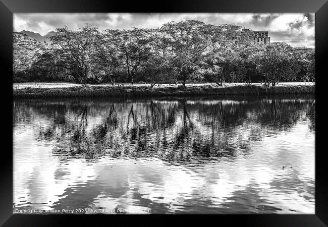 Black White Trees Ala Wai Canal Reflection Honolulu Hawaii Framed Print by William Perry