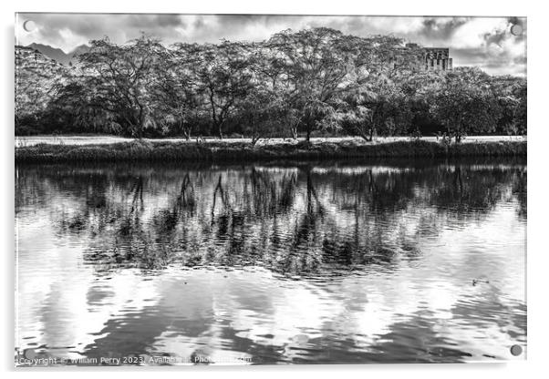 Black White Trees Ala Wai Canal Reflection Honolulu Hawaii Acrylic by William Perry