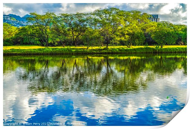 Colorful Green Trees Clouds Ala Wai Canal Reflection Honolulu Ha Print by William Perry