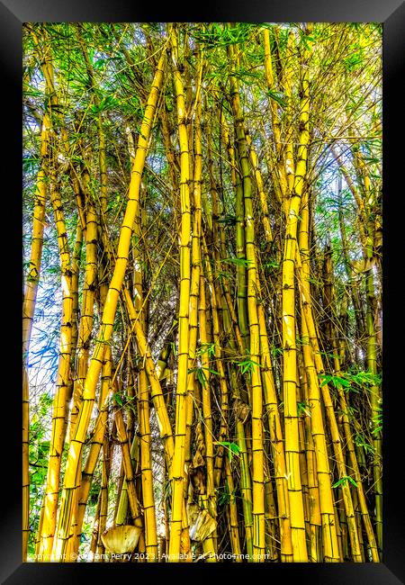 Golden Hawaiian Bamboo Honolulu Hawaii Framed Print by William Perry