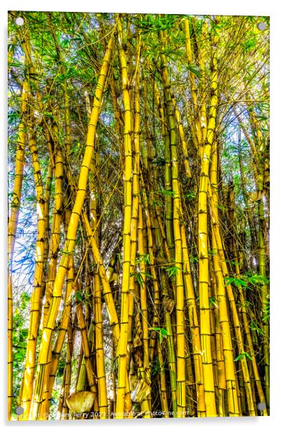 Golden Hawaiian Bamboo Honolulu Hawaii Acrylic by William Perry