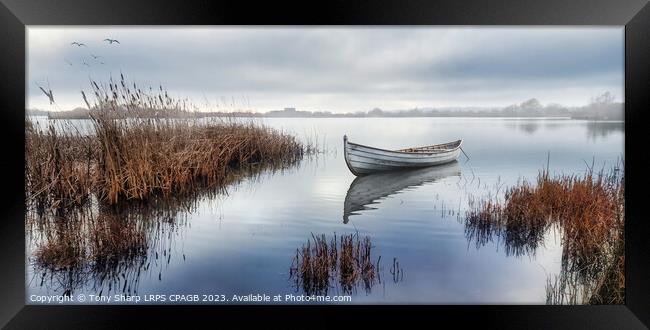 AMONGST THE MIST -RYE HARBOUR NATURE RESERVE Framed Print by Tony Sharp LRPS CPAGB