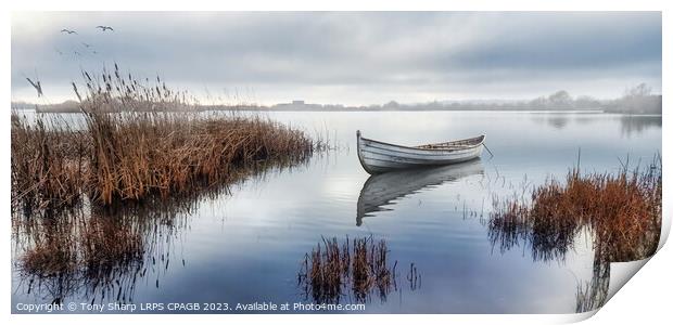 AMONGST THE MIST -RYE HARBOUR NATURE RESERVE Print by Tony Sharp LRPS CPAGB