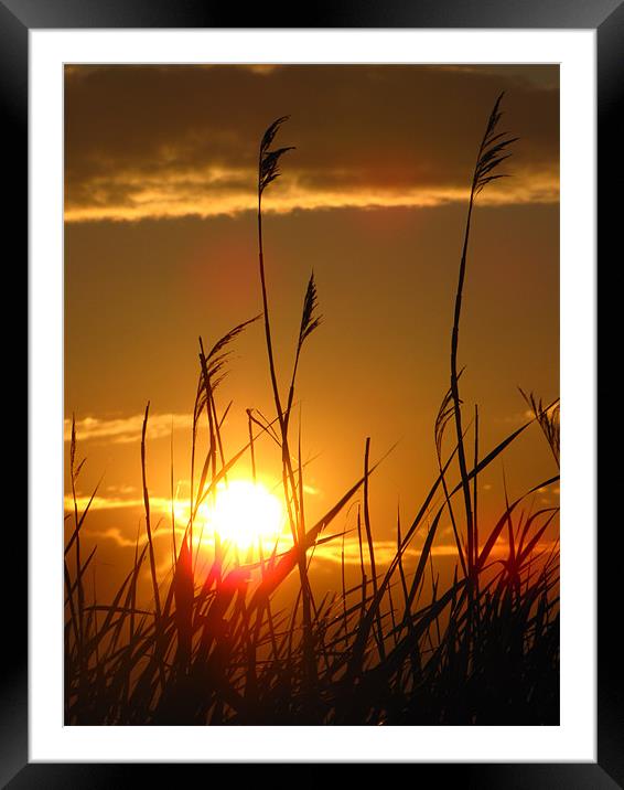 Saginaw Bay Sunset Framed Mounted Print by Connie Bunke