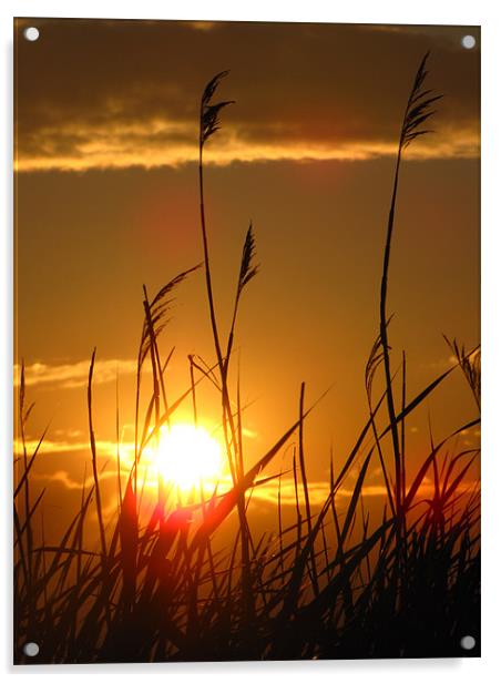 Saginaw Bay Sunset Acrylic by Connie Bunke