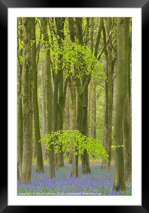 Bluebell woodland Framed Mounted Print by Simon Johnson