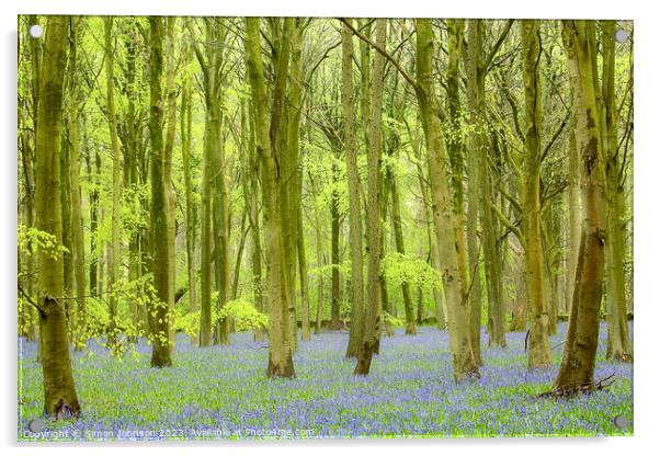 Bluebell Woodland Acrylic by Simon Johnson