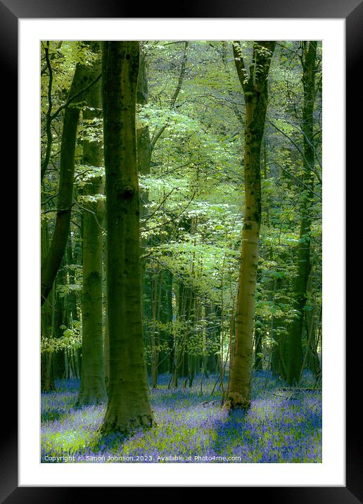 Bluebell woodland  Framed Mounted Print by Simon Johnson