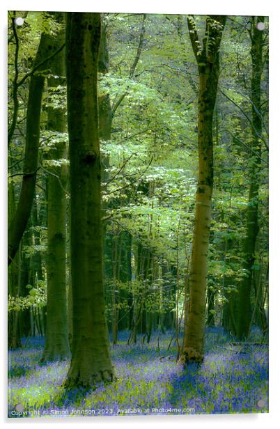 Bluebell woodland  Acrylic by Simon Johnson