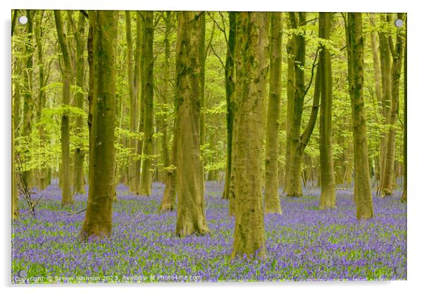  bluebell woodland Acrylic by Simon Johnson