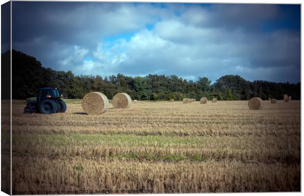 Outdoor fieldHay Bales Canvas Print by Tom McPherson
