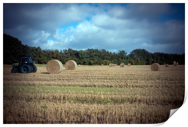 Outdoor fieldHay Bales Print by Tom McPherson