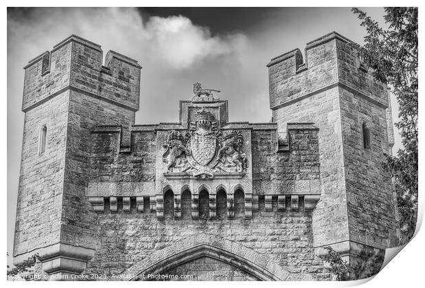 Arundel Castle | Arundel Print by Adam Cooke