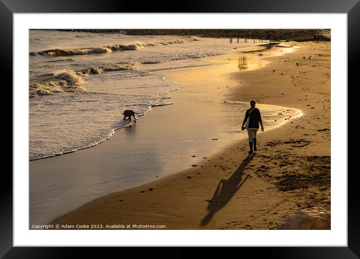Dog Walking Along the Salerno Coastline | Italy Framed Mounted Print by Adam Cooke