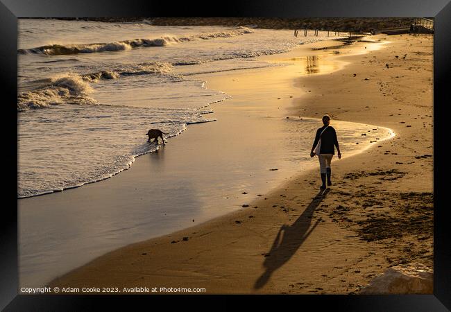 Dog Walking Along the Salerno Coastline | Italy Framed Print by Adam Cooke