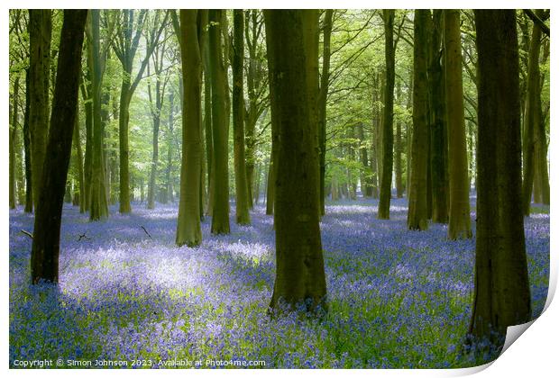 Plant tree Print by Simon Johnson