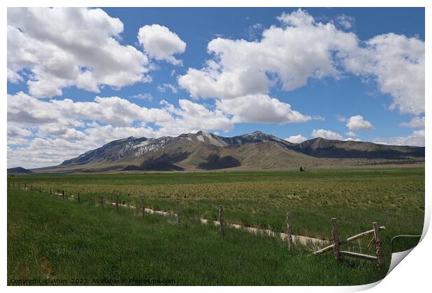 Nature along highway 89  from Salt Lake City Utah Print by Arun 