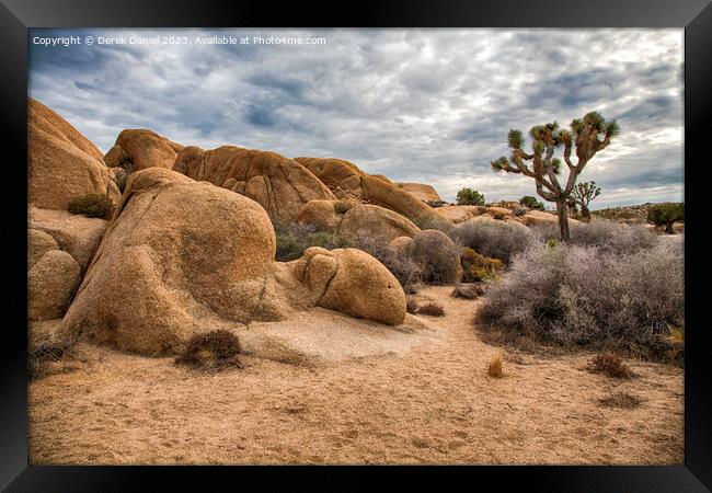 Joshua Tree National Park Framed Print by Derek Daniel