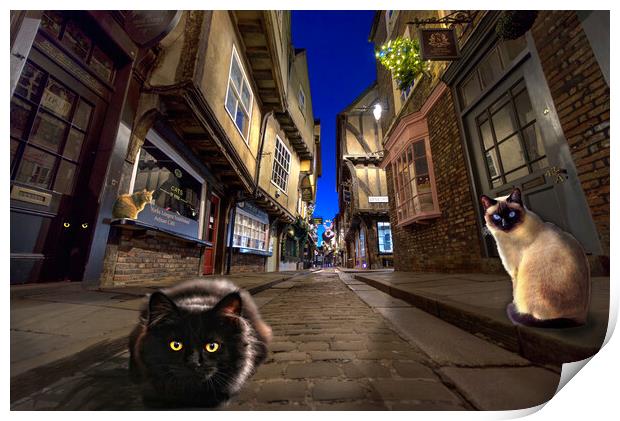 Cats of York Print by Alison Chambers