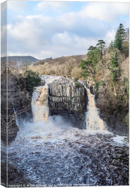 High Force waterfall Canvas Print by Bryan Attewell