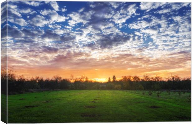 Greenfield under the cloudy sky at sunset Canvas Print by Dejan Travica