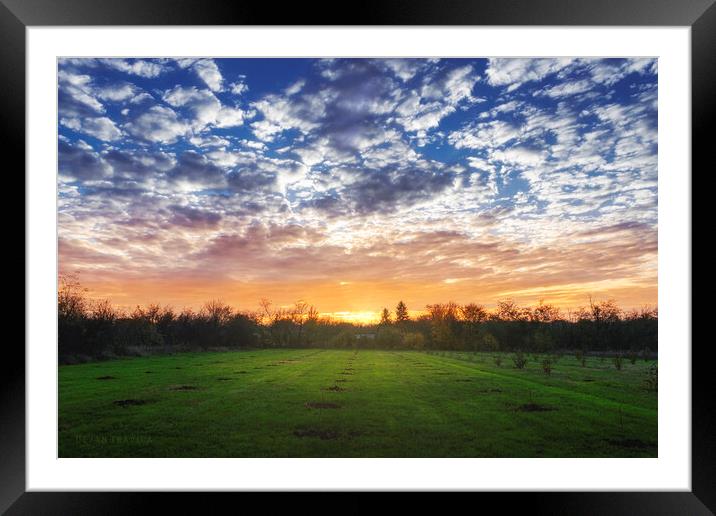 Greenfield under the cloudy sky at sunset Framed Mounted Print by Dejan Travica