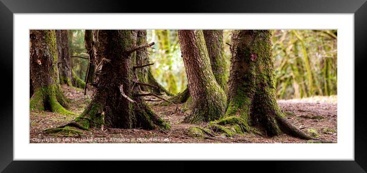 The bottom of the forest floor Framed Mounted Print by Les McLuckie